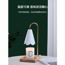 디퓨저 캔들 캔들 북유럽 열융합 스탠드 침실 수면 훈제, 07.220V 전구 4세트 (소모물), 01.조광 스위치