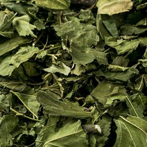 봉래 국산 뽕잎(상엽) 600g/한방/건강/약초/약재 식품 > 건강식품 전통건강식품 기타전통건강식품/한방재료, 600g, 1, 600g” class=”wr-img”></a></div></div></div></div><div class=