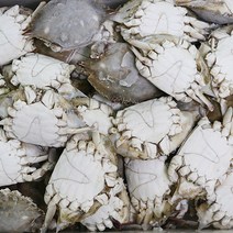 산지직송 연평도 서해안 햇 꽃게 제철 급냉 몽당 절단 활 꽃게 1kg, 다리없는 숫꽃게 1kg