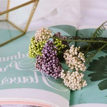 라이스플라워 프리저브드 도매, 06_퍼플