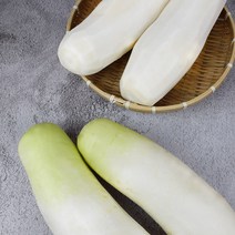 기찬꾸러미농산물 국내산 햇 무 손질 무(깐 무) 1개 (2KG 내외), 손질(깐) 무 1개