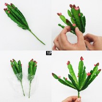 홈앤블리 다육이조화 인조조화 선인장조화