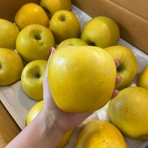 황금사과 시나노골드 정품용 가정용 꼬마 쥬스용 사과 3kg 5kg 10kg, 가정용 소과 15과 3kg