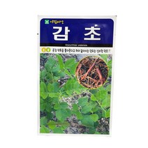 감초 씨앗 500립 [23년포장] 신비한 약초 종자