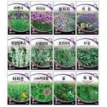오레가노 유칼립투스 라벤다 오레가노 라벤다 로즈마리 페퍼민트 보리지 허브씨앗 타임 바질 카모마일 차이브 딜 레몬밤 세이지 히솝 소렐 유칼립투스 키우기 심기 재배 정원가꾸기, 커피나무씨앗 10립