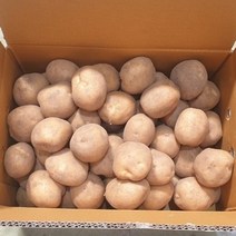 [감자청년] 2023년 감자 두백감자 상/ 중&조림사이즈 20kg 10kg 5kg 3kg, 1박스, 5kg 상