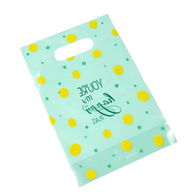 피크닉하우스 팬시비닐백, 민트도트, 60개입