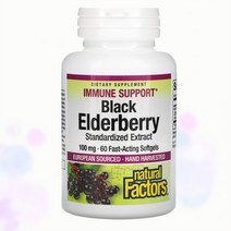 내추럴팩터스 블랙 엘더베리 100mg 삼부커스 안토시안 60캡슐, 60캡슐 1개
