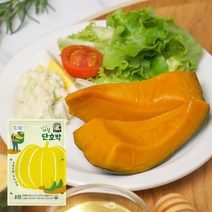 아침 바로드숑 단호박 1팩 100g x 10개, 단품