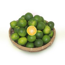 햇 제주 청귤(풋귤) 무농약 10kg 5kg 당일수확 농장직송, 청귤(풋귤) 5kg, 1개