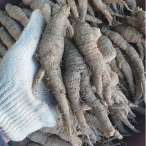 [팜쿡] 태백 고랭지 산더덕 왕특대 (10-15뿌리) 1kg, 단품