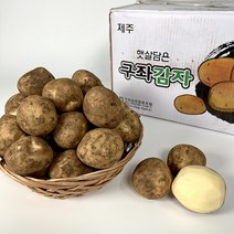 [기린]당일발송 23년 수확 햇감자 수미감자 2kg 3kg 5kg 1BOX, 2kg (왕특, 큰사이즈), 1개