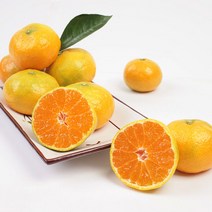 제주도 노지 귤 제주도 감귤 제주 감귤 제철 노지귤 3kg 3개입, 5kg 프리미엄 3개