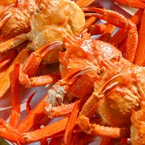 [선주직송] 감성먹거리 자숙 연지 홍게 10마리 대게 게 대게철 수율보장 구룡포, 고급형 홍게 10마리