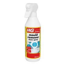 HG 곰팡이클리너 욕실 화장실 곰팡이제거 베란다 실리콘 곰팡이제거제, 1개, 500ml