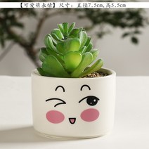 식물 책상 미니 트리옵스 듀가르손 동물 리톱스 아악무 특이한 다육이 화분 홈 인테리어, 연청색, 아주 작다