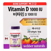 무배 웨버 내츄럴 비타민D 1000 IU 250캡슐 X 2병, 상품, 단일