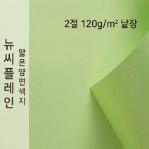 뉴씨플레인 종이문화 얇은 양면색지 120g 2절 낱장 1매 No.13 연연두색, 1장