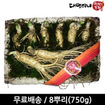 금산수삼 수삼선물세트(8뿌리 750g), 1세트, 수삼선물세트 8뿌리(750g)