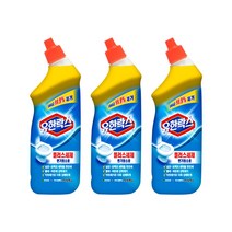 주방욕실청소끝 유한락스모음전, 755ml, 3개
