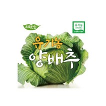 초록한입 국내산 유기농 양배추 2kg 152541