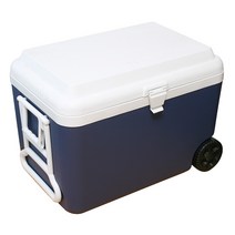 리빙케이 아이스박스 38L 50L 60L 80L, 60LB