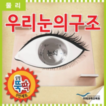 오너클랜 실험뚝딱 우리눈의구조 5인세트, 단일, 본품