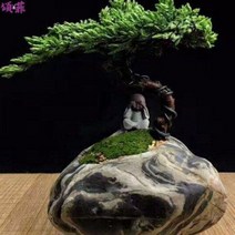 천연 가습기 대형 바위 돌수반 천연진석가공 자갈화분 화안옥식물 창포창의분경 구룡벽석화분, 오류 발생시 문의 ( 에이맨0102 ), 오류 발생시 문의 ( 에이맨0102 )