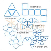 [포디랜드] 정다면체 전개도 SET P00000MT / 4DM-015