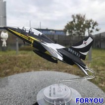ForU64 블랙이글 곡예비행 에어쇼 공군 특수비행 파일럿 조종사