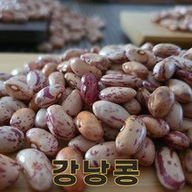 밥보야 23년산 국산 강낭콩 양대 호랑이콩 1kg, 1개