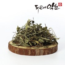 두손애약초 민들레, 1개, 300g