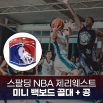 스팔딩 NBA 제리웨스트 미니 백보드 골대+공/DP77602Z - 농구 유소년 학교 스포츠 취미 운동 학생