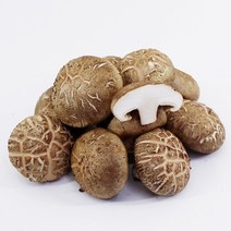 채선 쫄깃한식감과 특유의맛 국내산 표고버섯 상 하 500g 1kg, 1포, 1kg(상)
