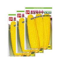 (아시아종묘 옥수수씨앗종자) 초당 옥수수 VSC 03 (100립*3개입)