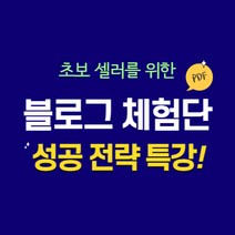 초보셀러를 위한 블로그체험단 성공전략 특강 PDF전자책