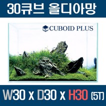 큐보이드 디아망노멀 30큐브 올디아망어항 303030 (5T)