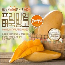 태국망고 항공직송 바로배송 프리미엄 선물세트, 태국망고 L 4개 [1.65kg]