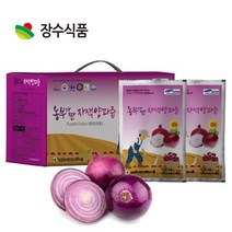 장수식품 국내산 농부가 짠 자색양파즙 100ml x 30포, 2박스