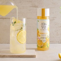 흥국에프엔비 오늘의일상 레몬에이드 원액 400mL, 8개
