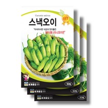 스낵오이 씨앗30립x3 생식용 미니오이 씨앗, 30립x5봉