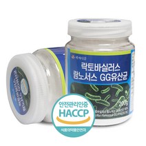 락토바실러스 람노서스 GG유산균 200g HACCP 인증제품, 3개