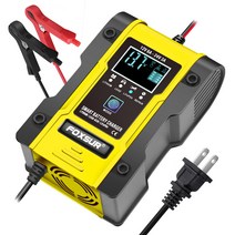 Asla 12.6V 리튬 배터리 12V24V 납산 배터리 리튬 인산철 충전기 자동차 및 오토바이 배터리 충전기, 1