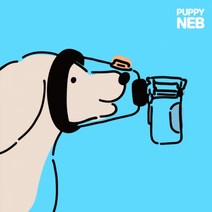 강아지 고양이 네블라이저 퍼피넵 초음파 흡입기 동물용의료기기, 1개