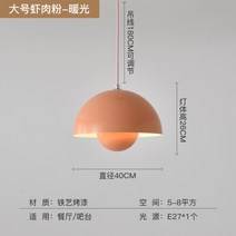 팬던트등 인테리어 식탁등 LED 포인트 수입조명, 웜핑크-40cm