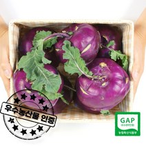 우수농산물 GAP 인증 농장직송 당일수확 제주 햇 콜라비 특대, 특품 콜라비 5kg, 1개