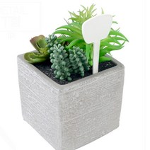 화분 이름판 가든픽 상품정보, T형