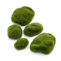 개미집 둥지 곤충사육장 곤충키우기 1pcs 농장 미니 이끼 돌 장식 생태 액세서리 도구 애완 동물 집 마이크로 풍경 장식, 초록, 3cm