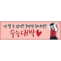 맑은누리디자인 미니핸디형 수능현수막 009-가로형 100x30cm (가공선택필수) [주문제작]
