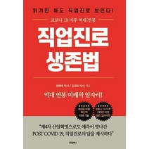 직업진로 생존법:억대 연봉 미래의 일자리 247가지 대공개, 정병태김경회, 한덤북스